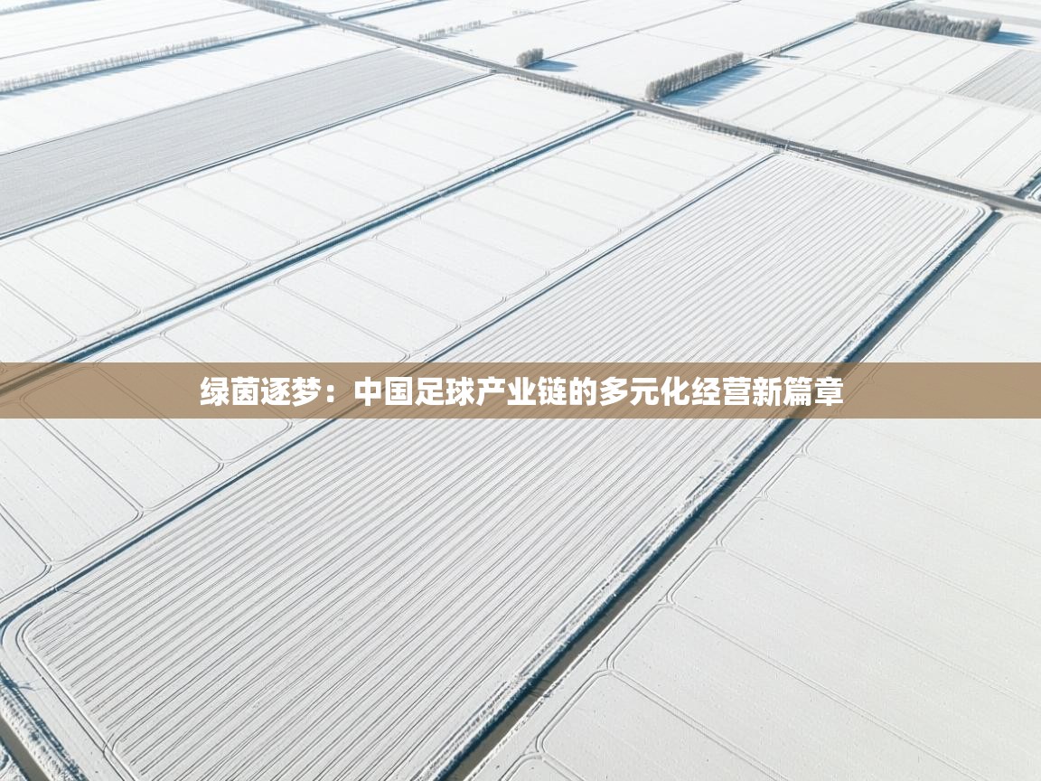 绿茵逐梦:中国足球产业链的多元化经营新篇章 第2张
