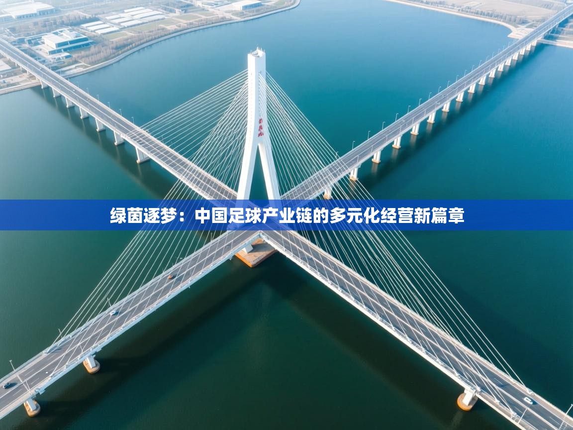绿茵逐梦:中国足球产业链的多元化经营新篇章 第1张